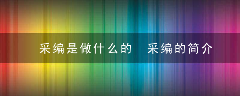 采编是做什么的 采编的简介